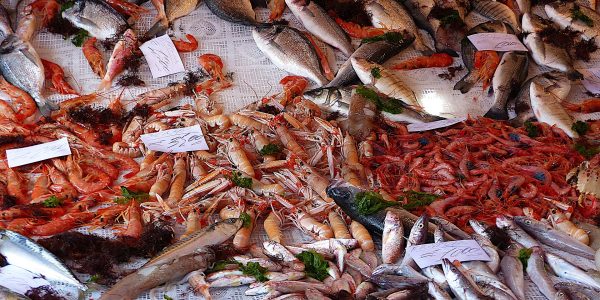 Vismarkt van Palermo